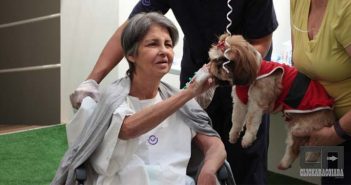 Lei libera entrada de animais de estimação em hospitais