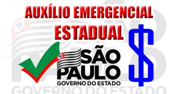 Novo Auxílio emergencial de $300 – Agora custeado pelo Estado de São Paulo