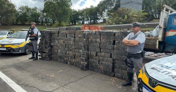 Em Tatuí Polícia apreende mais de 2 toneladas de erva