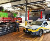 Polícia apreende mais de uma tonelada de maconha em Porangaba