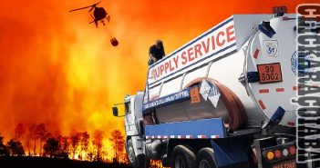 Incêndio na Flona Ipanema deixa rastro de destruição, mas a grande mobilização fez toda a diferença