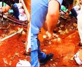 Mãe e padrasto são presos após executar e concretar corpo de criança no quintal de casa