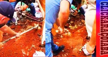 Mãe e padrasto são presos após executar e concretar corpo de criança no quintal de casa