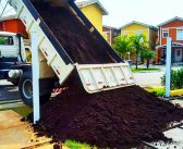 Substrato: O segredo natural para plantas mais fortes e um meio ambiente mais limpo