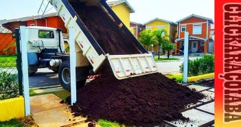 Substrato: O segredo natural para plantas mais fortes e um meio ambiente mais limpo
