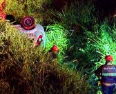 Motorista morre após cair com veículo em ribanceira na Raposo Tavares