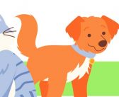 Araçoiaba abre cadastro para castração gratuita de cães e gatos